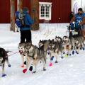 Amundsen 2013