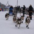 Femundlopet 2010