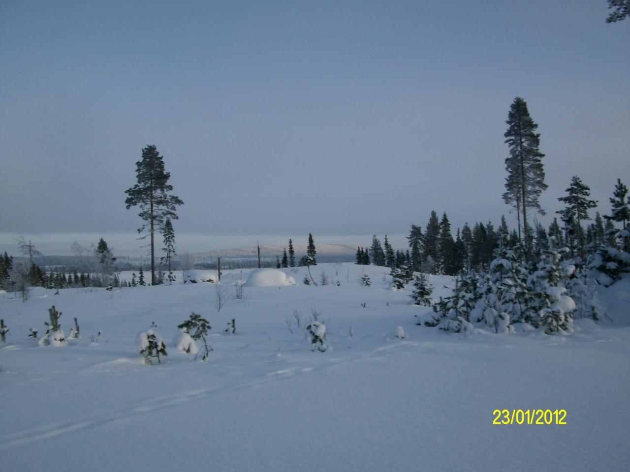 Paysage d'entrainement