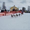 POLARDISTANS 2017