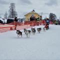 POLARDISTANS 2017