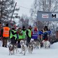 POLARDISTANS 2017
